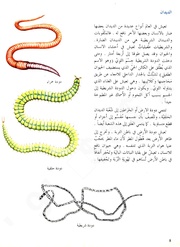 الصفحة التالية &larr;