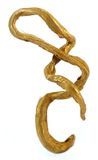"Rope gold" from Lena River, Sakha Republic, Russia. Size: 2.5×1.2×0.7 cm.