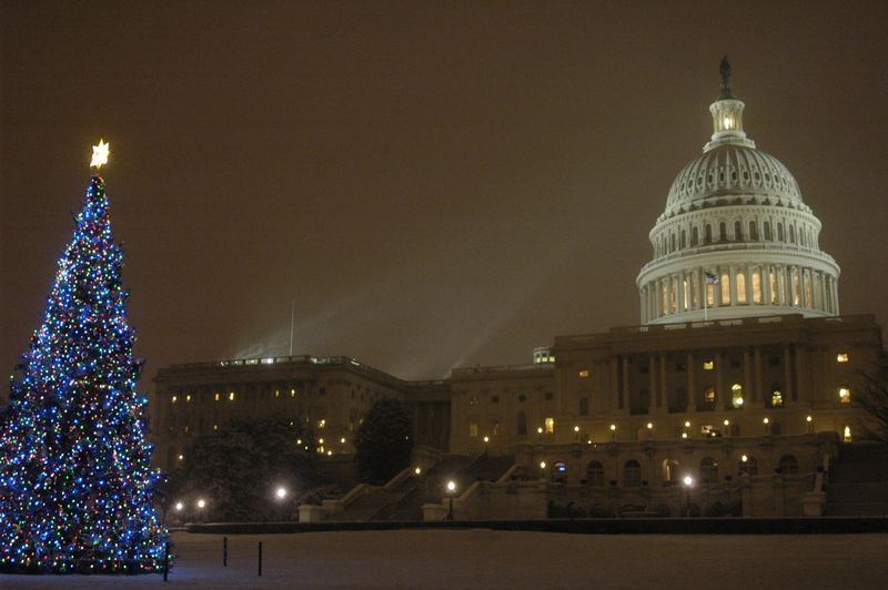 ملف:United States Capitol Christmas tree lighting ceremony - December 5, 2007.JPG