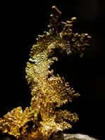 WLA hmns Gold shaped dragon.jpg