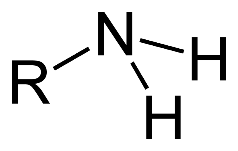 ملف:1°-amino-group.png