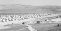 بلاطة عام 1950، عندما كان اللاجئون لازالوا يعيشون في خيام.