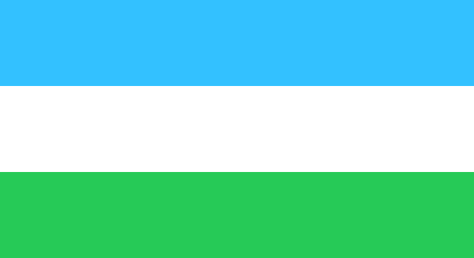ملف:Flag of the Tihamah Resistance.svg