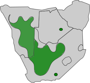 Philetairus socius distribution.svg