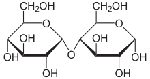 Maltose