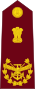 Rank insignia for India CDS.svg