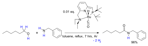 Synthesis of Amides from Alcohols and Amines with Liberation of H2