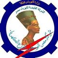 شعار شركة مصر الوسطى لتوزيع الكهرباء.jpg
