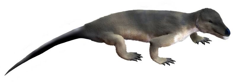ملف:Procynosuchus NT.jpg
