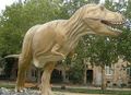 نسخة من الديناصور ريكس في المتحف.