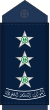 10.RSAF-CAPT.svg