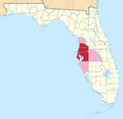 The Tampa–St. Petersburg–Clearwater Metropolitan Statistical Area (red) and other counties which are sometimes considered to be part of the Tampa Bay Area (pink).