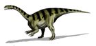 Plateosaurus gracilis