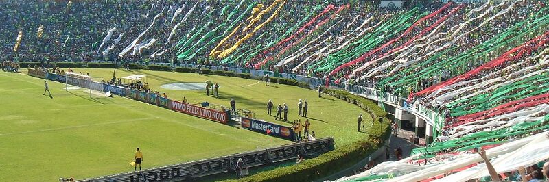 ملف:Torcida do Palmeiras-2007.JPG