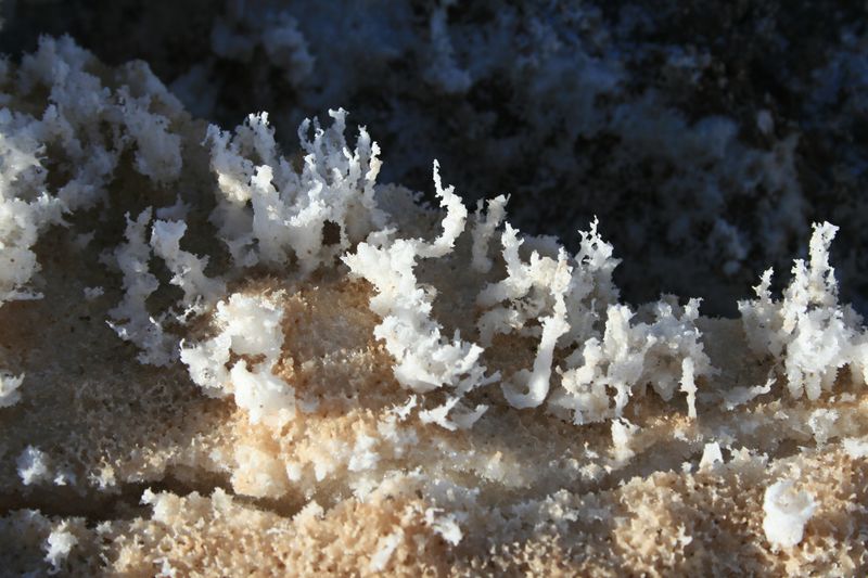ملف:Salt crystals in death valley.jpg
