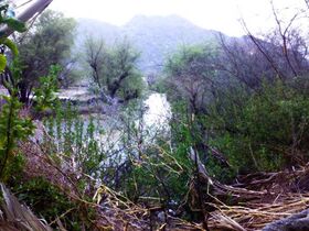 صورة معبرة عن الموضوع وادي خاط