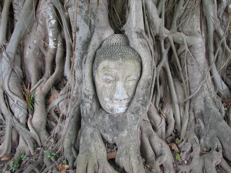 ملف:Ayutthaya buddha 2.jpg