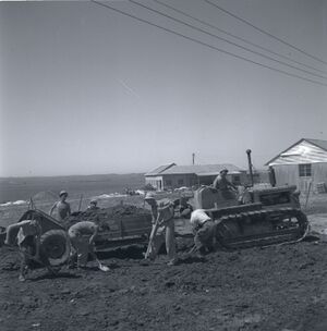 أعضاء الكيبوتس يعملون في الزراعة، 1951. بوريس كرمي، مجموعة مائيتار، المكتبة الوطنية الإسرائيلية.
