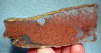 Dendritic native copper encased in transparent gypsum, Mission Mine, Pima County, Arizona, US