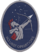 Deputy Chief of Space Operations for Operations, Cyber, and Nuclear emblem.png
