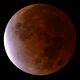 Lunar Eclipse - 2021 (51690221681) (cropped).jpg