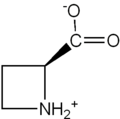 azetidine-2-carboxylic acid