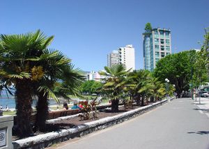 A sidewalk lined with lights and palm trees. Opposite the street are benches where people sit and watch the bay. In the distance are high-rise buildings, including one with a tree growing on its roof.