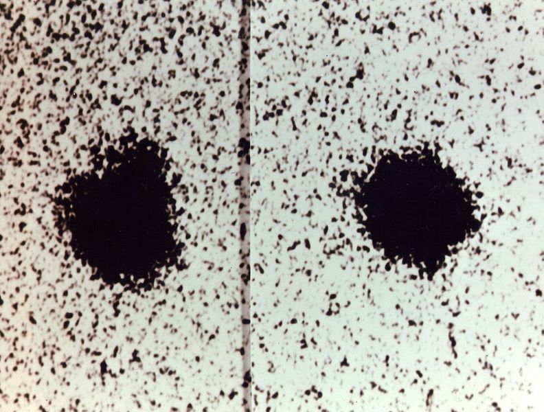 ملف:Charon Discovery.jpg