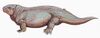 Diadectes sideropelicus