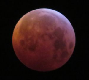 Lunar eclipse of 2019 January 21, Belgium.jpg
