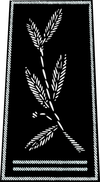 ملف:Police nationale-commissaire divisionnaire.svg