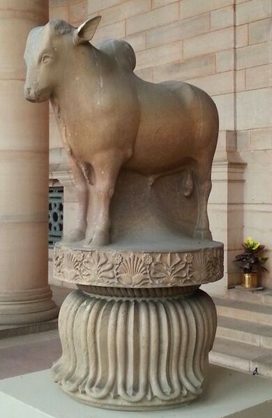 ملف:Rampurva bull in Presidential Palace high closeup.jpg