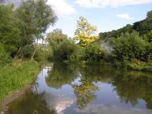 Smotrych River.JPG