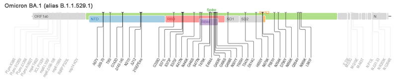 ملف:SARS-CoV-2 Variant B-1-1-529 Omicron lineage mutations.png