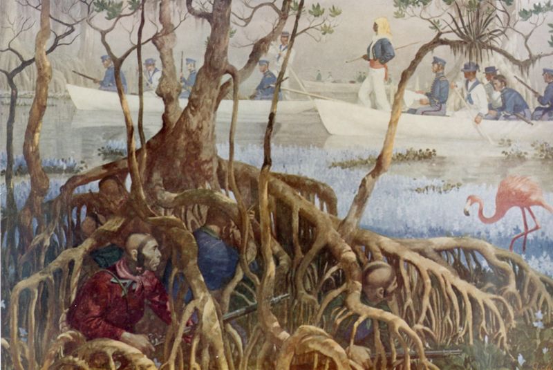 ملف:Seminole War in Everglades.jpg