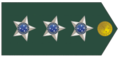 Brazilian Army (Capitão)