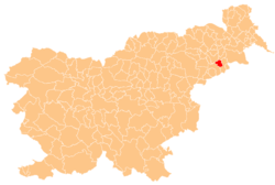 Location of the Municipality of Markovci in Slovenia