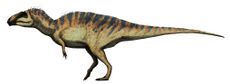 Acrocanthosaurus restoration.jpg