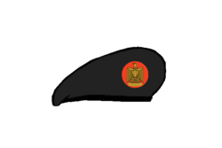 Artillery brigadier Beret - Egyptian Army.png