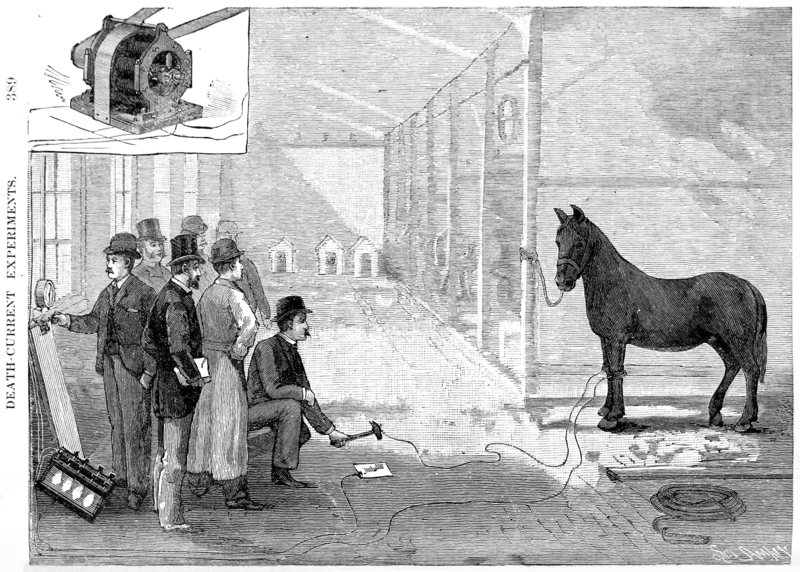 ملف:Harold Pitney Brown edison electrocute horse 1888 New York Medico-Legal Journal vol 6 issue 4.png