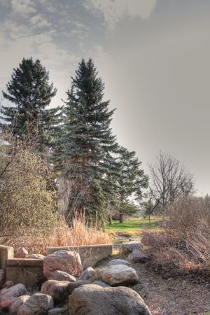 Hawrelak Park in the North Saskatchewan River Valley taken from a stream-bed.