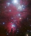 NGC 2264 and the Christmas Tree cluster