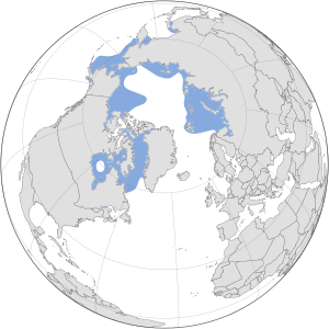 Delphinapterus leucas map.svg