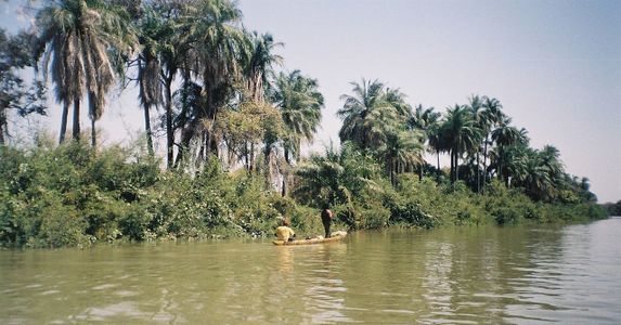 قارب صيد في نهر گامبيا، عند جزيرة جنجنبوريه.