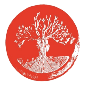 Ibrahim Prize icon.png