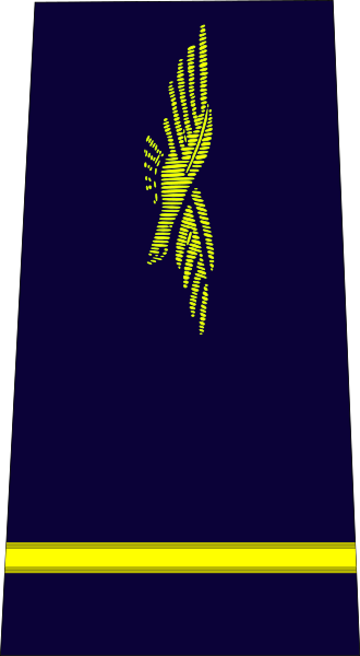 ملف:French Air Force-sous-lieutenant.svg