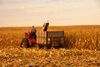 IHC corn picker, Story County, Iowa, 2011.jpg