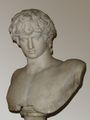 تمثال نصفي لأنتنينوس في متحف پلازو ألتمپس، روما.