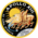 Apollo 13-insignia.png