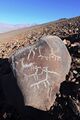 Llamas at La Silla[45]